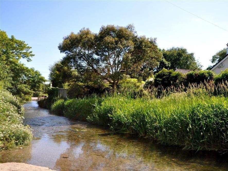 Sixpenny Cottage Upwey Εξωτερικό φωτογραφία