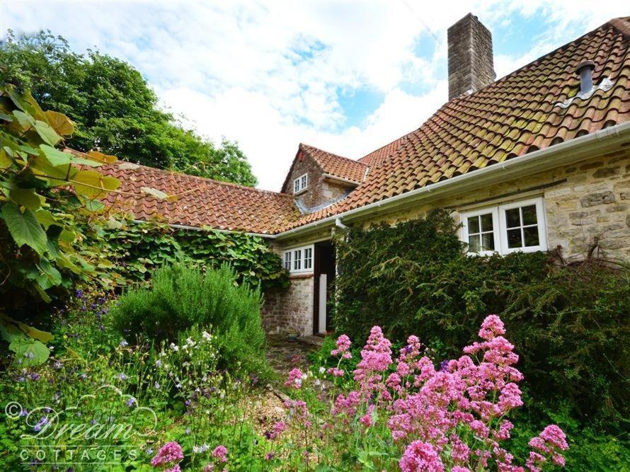 Sixpenny Cottage Upwey Εξωτερικό φωτογραφία